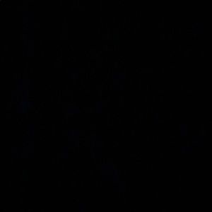 Meet your Posher, Terry